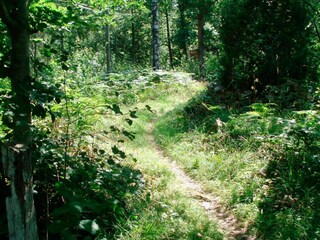 Holiday house Backaryd  17