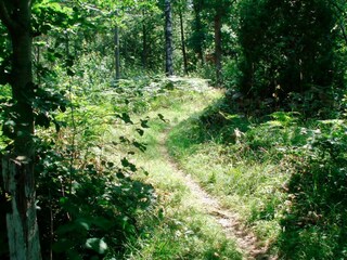 Casa de vacaciones Backaryd  10