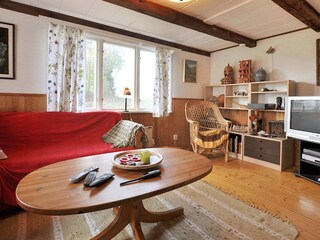 Vakantiehuis Dalshult  3