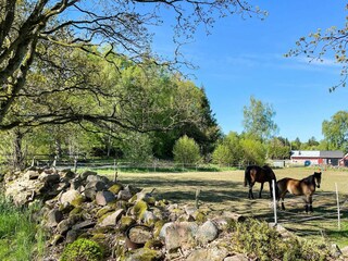 Vakantiehuis Dalshult Buitenaudio-opname 4