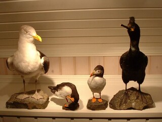 Casa per le vacanze Svelgen  9