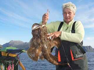 Holiday house Svelgen  9