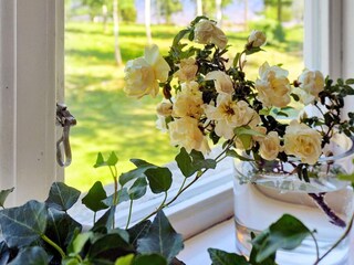 Casa per le vacanze Gardsjö  12