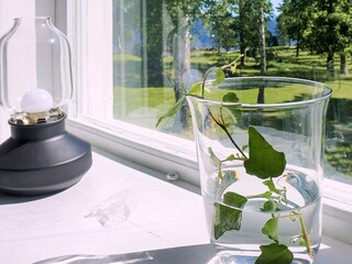 Ferienhaus Gardsjö  26