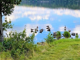 Casa per le vacanze Gardsjö  26