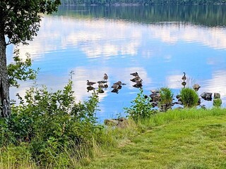 Casa per le vacanze Gardsjö  18