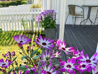 Casa de vacaciones Lindesnes Grabación al aire libre 3
