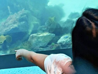 Maison de vacances Lindesnes  11