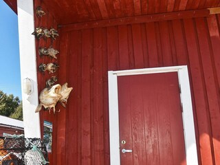 Ferienhaus Oksvoll Außenaufnahme 2