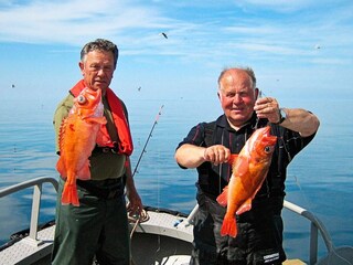 Maison de vacances Oksvoll  9