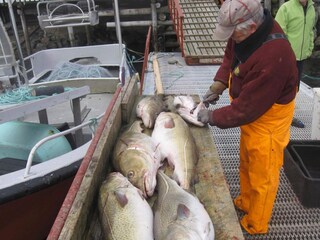 Maison de vacances Oksvoll  11