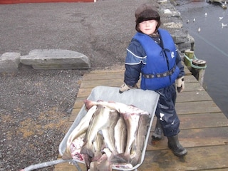 Maison de vacances Oksvoll  16