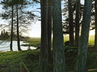 Maison de vacances Gardsjö  15