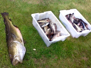 Holiday house Verran  6