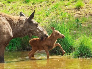 Casa per le vacanze Boda Kyrkby  5