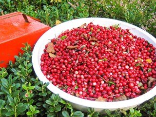 Casa de vacaciones Boda Kyrkby  6