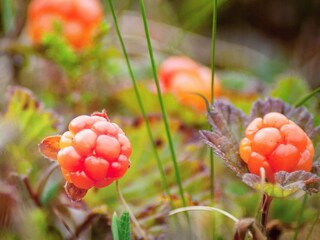 Casa per le vacanze Boda Kyrkby  7