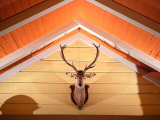 Maison de vacances Liabygda  20