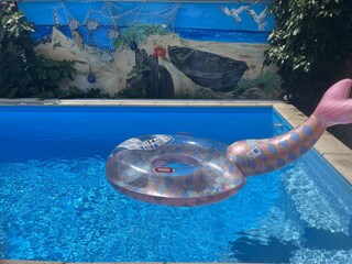Holiday apartment Weinböhla Swimming Pool 8