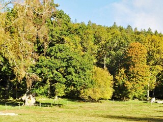 Casa per le vacanze Upphärad  13