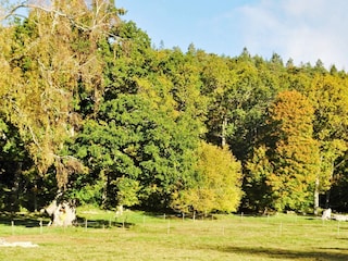 Maison de vacances Upphärad  6