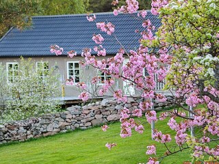 Maison de vacances Varekil Enregistrement extérieur 5