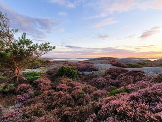 Maison de vacances Ellös  18