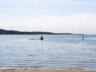 Maison de vacances Ellös  20