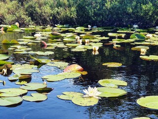 Maison de vacances Ellös  23