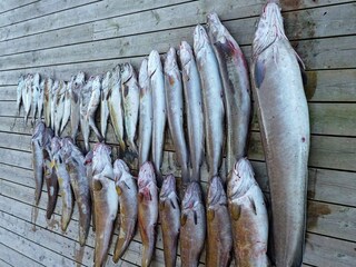 Vakantiehuis Urangsvåg  42