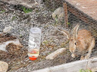 Holiday house Kvenvær Outdoor Recording 6