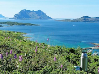 Ferienhaus Inndyr  8