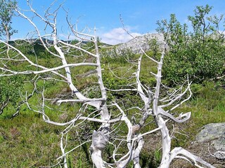 Casa de vacaciones Inndyr  29