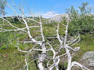 Ferienhaus Inndyr  29