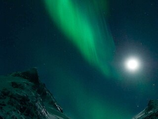 Vakantiehuis Inndyr  31