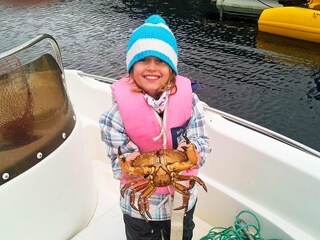 Ferienhaus Inndyr  13