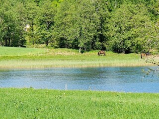 Casa de vacaciones Skällinge  6