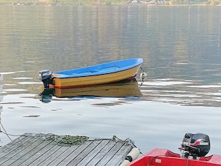 Ferienhaus Syvde  47