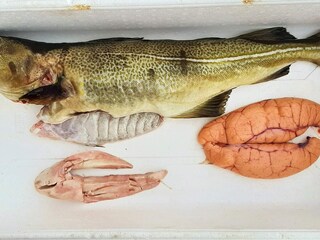 Maison de vacances Syvde Enregistrement extérieur 15