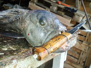 Casa per le vacanze Syvde  29