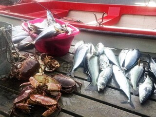 Casa de vacaciones Syvde  43