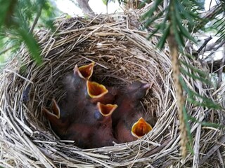 Casa de vacaciones Syvde  47