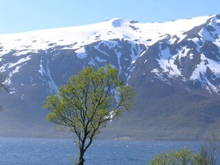 Vakantiehuis Flesnes  14
