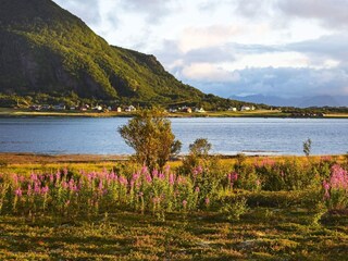 Maison de vacances Laukvik  25