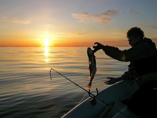 Ferienhaus Laukvik  18