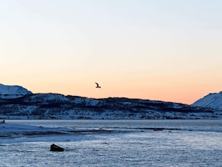 Vakantiehuis Nordlenangen  19