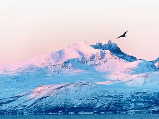 Vakantiehuis Nordlenangen  11