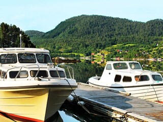 Casa per le vacanze Tustna  36