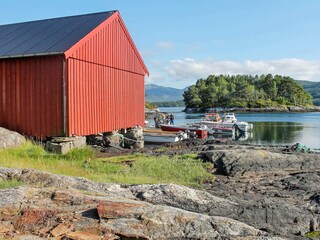 Vakantiehuis Tustna  46