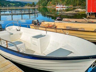 Vakantiehuis Tustna  24